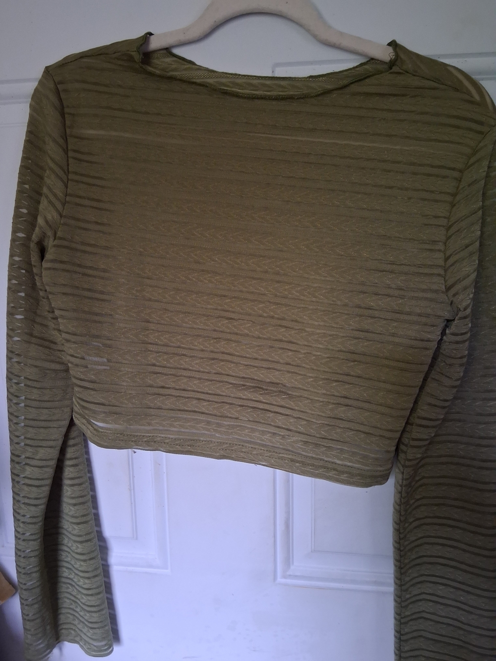 Olive Green Sheer Ribbed Crop Top